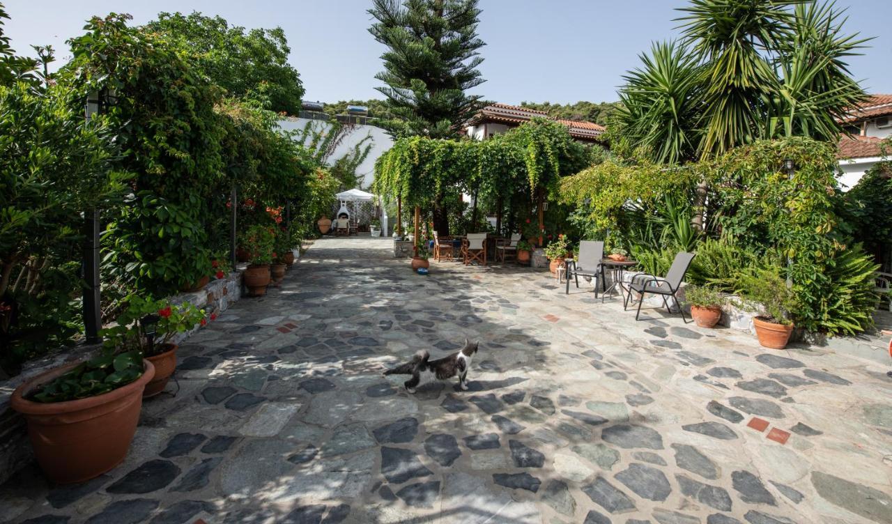 Katikies Stamatias Studios & Maisonettes Agnontas المظهر الخارجي الصورة