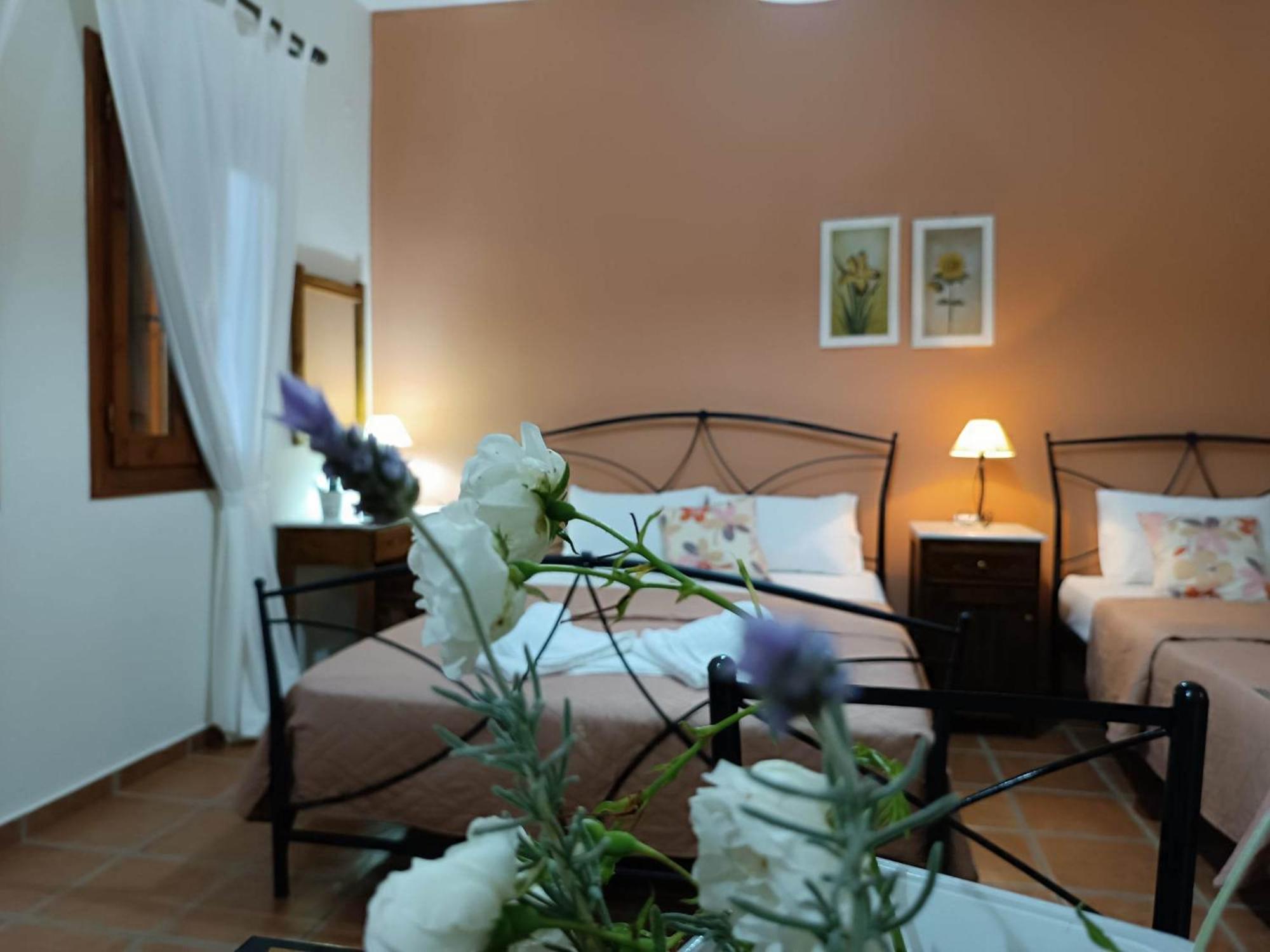 Katikies Stamatias Studios & Maisonettes Agnontas المظهر الخارجي الصورة