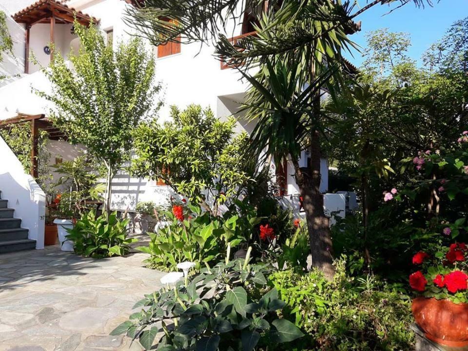 Katikies Stamatias Studios & Maisonettes Agnontas المظهر الخارجي الصورة