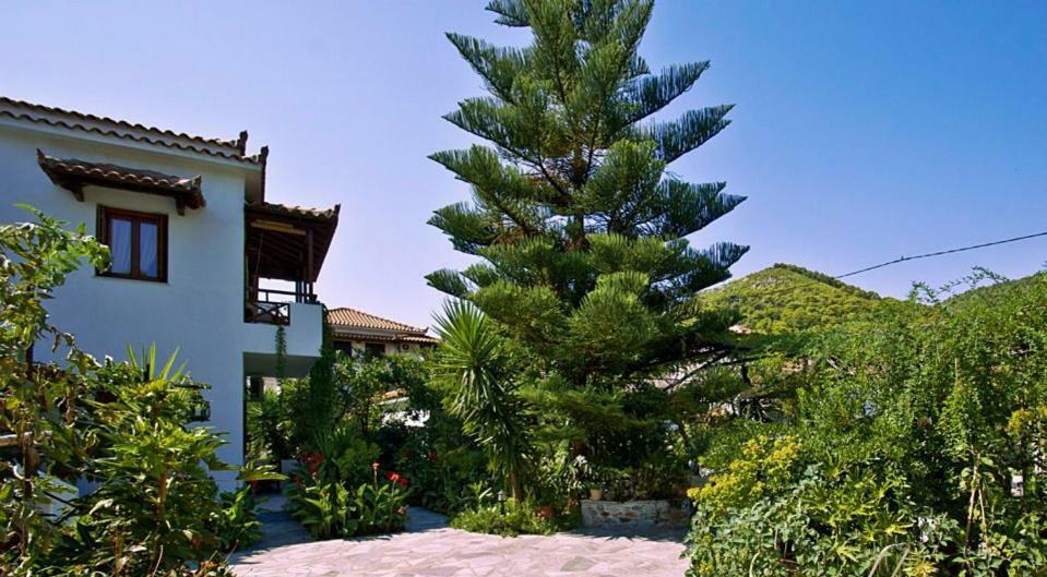 Katikies Stamatias Studios & Maisonettes Agnontas المظهر الخارجي الصورة